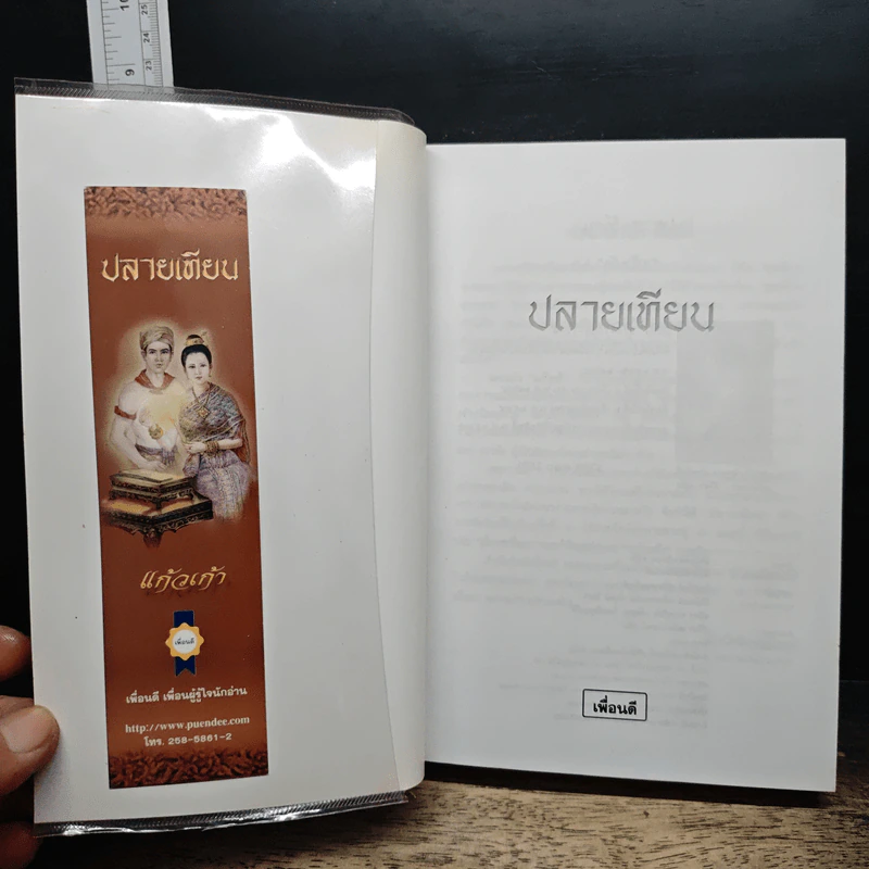 ปลายเทียน รูปที่ 6
