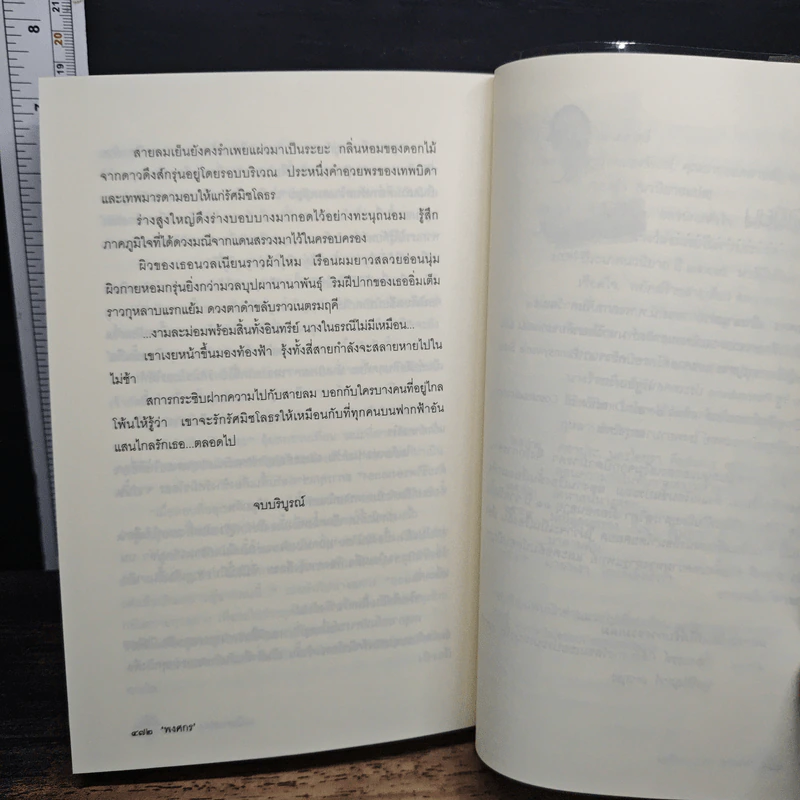 มณีแดนสรวง รูปที่ 8