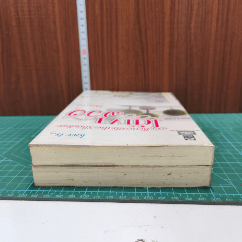 ใต้เงาลวง เล่ม 1-2 Love is - Shayna รูปที่ 4
