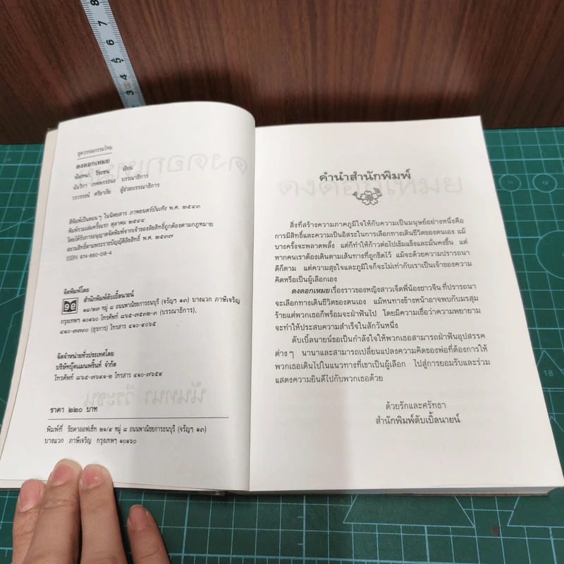 หนังสือ ดงดอกเหมย รูปที่ 6