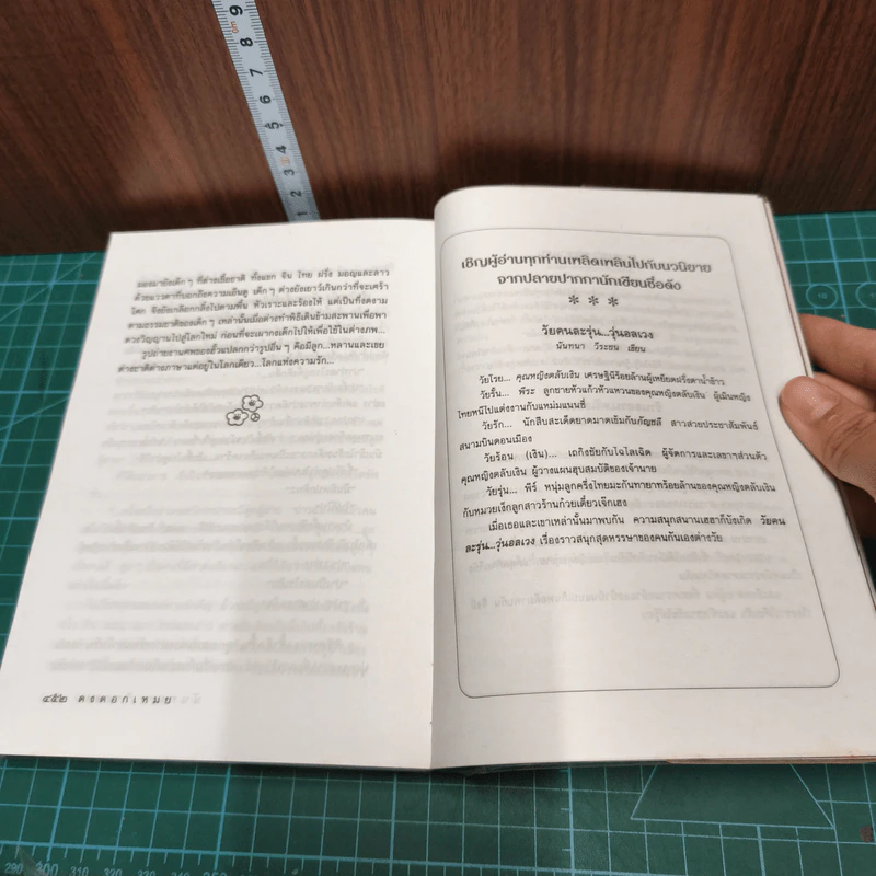 หนังสือ ดงดอกเหมย รูปที่ 8