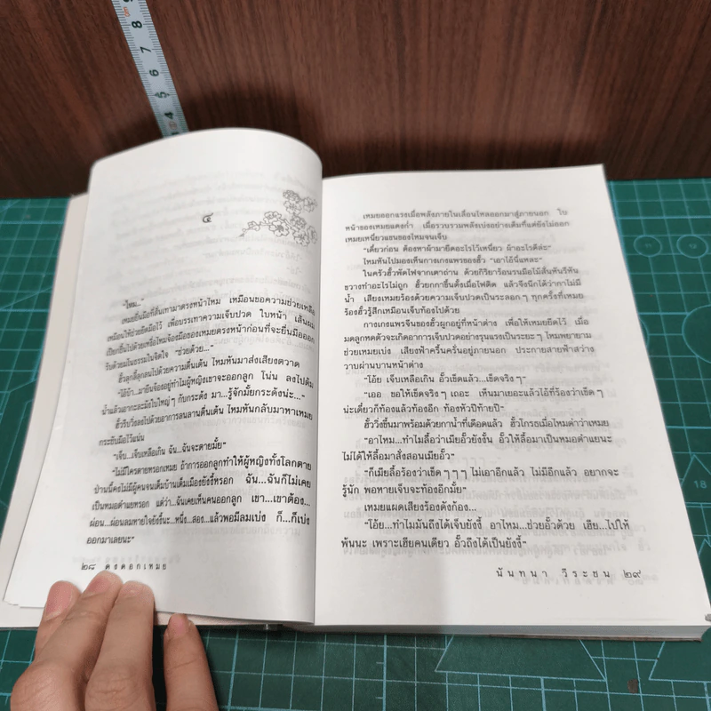 หนังสือ ดงดอกเหมย รูปที่ 7