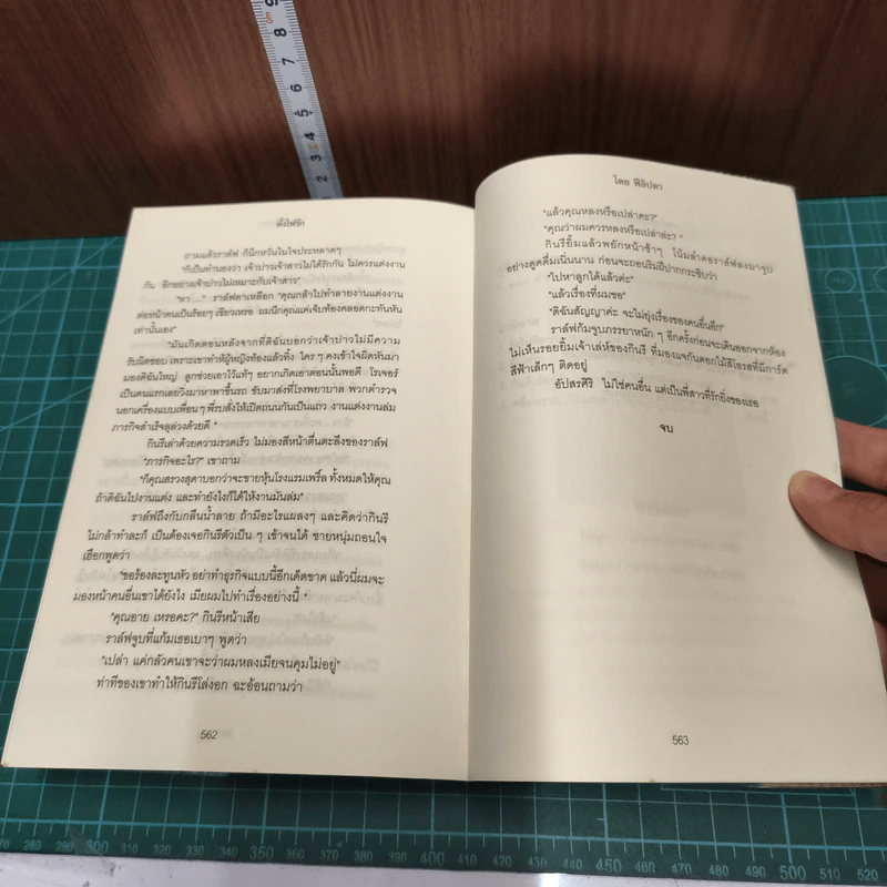 ดั่งไฟรัก รูปที่ 8