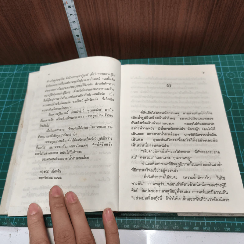 อุทยานเครื่องเทศ - กฤษณา อโศกสิน รูปที่ 8