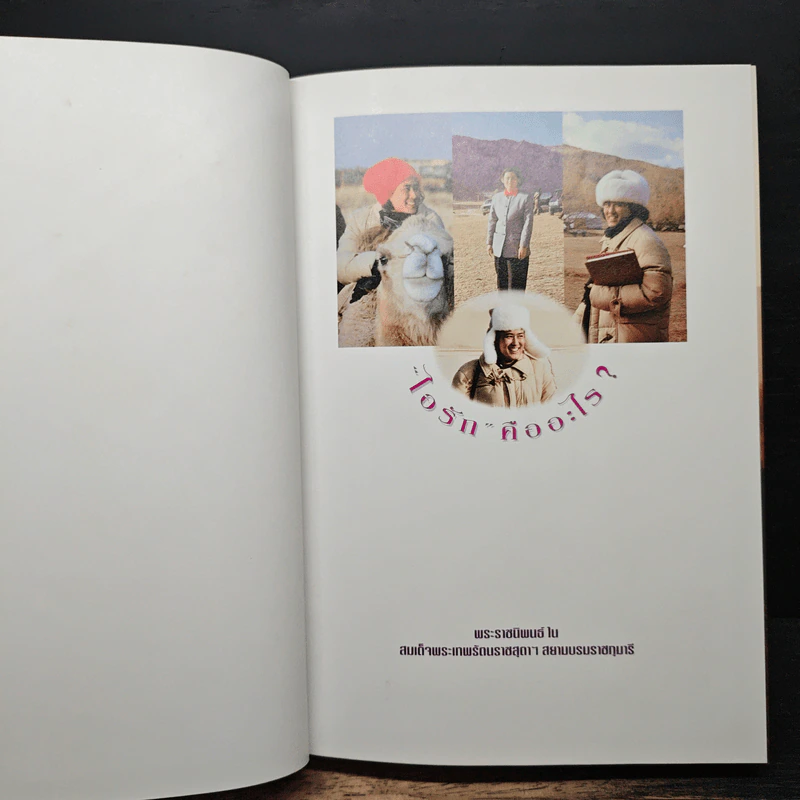 ไอรัก คืออะไร - สิรินธร รูปที่ 6