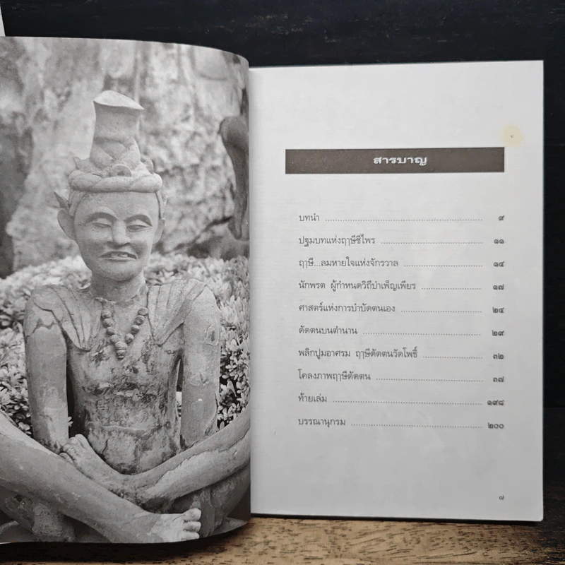 หนังสือ เปิดกรุ กระบวนท่า ฤาษีดัดตน ลีลาไทยคลายเส้น รูปที่ 7