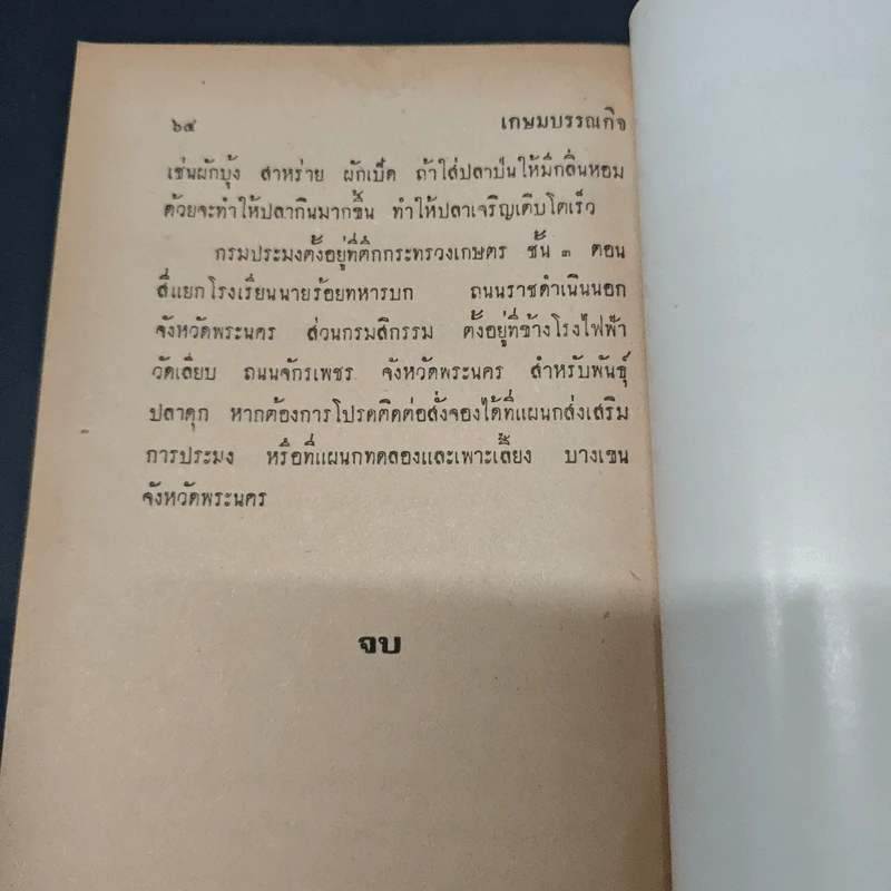 วิธีเลี้ยงปลาดุก และการเลี้ยงปลาในบ่อ รูปที่ 9