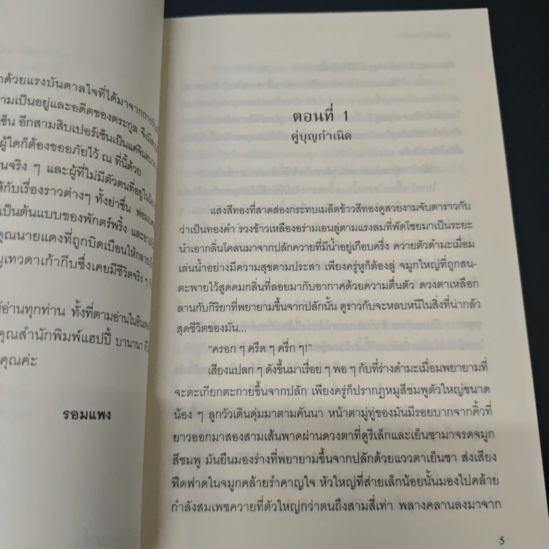 ลูกทุ่งโมดิฟายด์ - รอมแพง รูปที่ 7