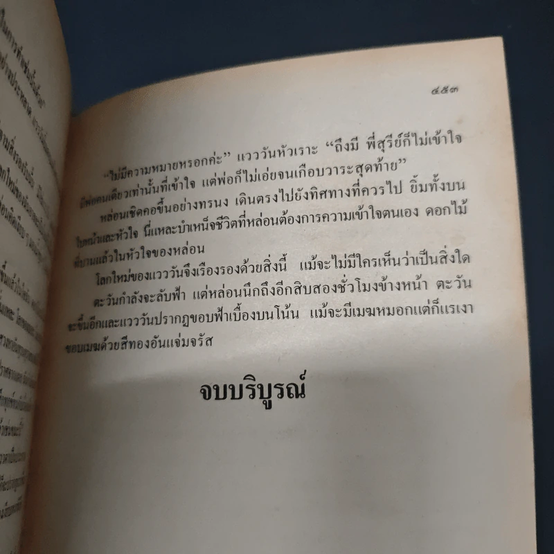 แวววัน รูปที่ 8