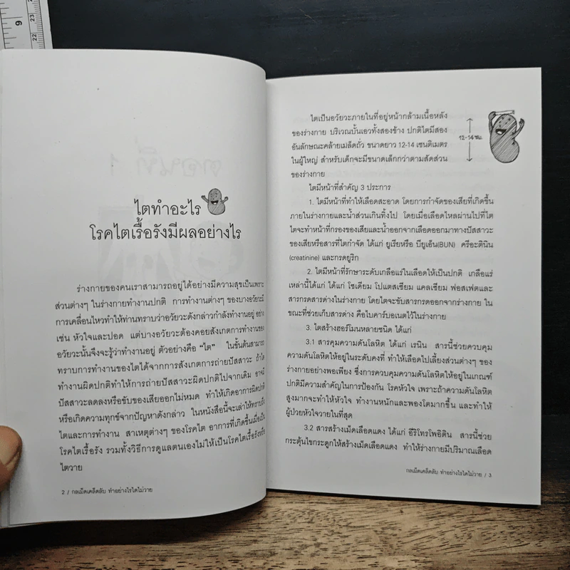 หนังสือ กลเม็ดเคล็ดลับ ทำอย่างไรไตไม่วาย รูปที่ 8