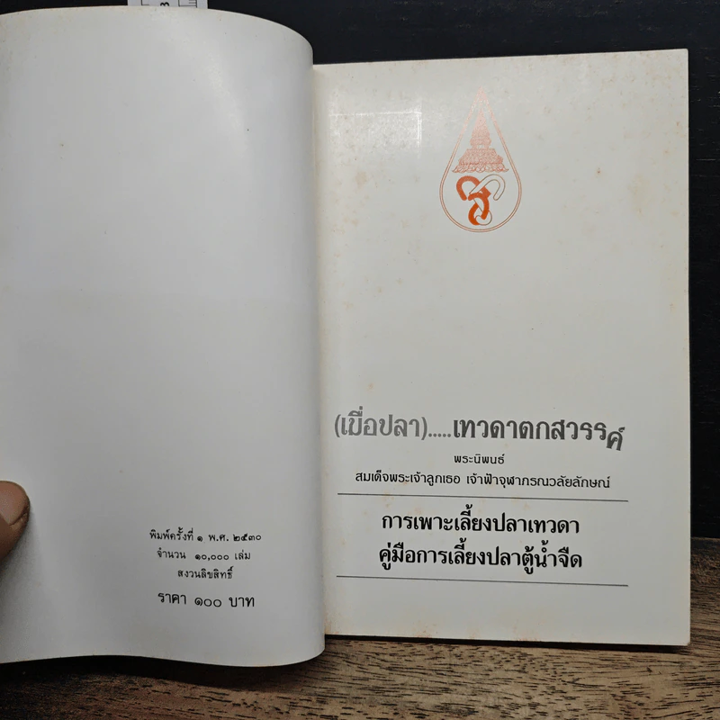 (เมื่อปลา)...เทวดาตกสวรรค์ - สมเด็จพระเจ้าลูกเธอ เจ้าฟ้าจุฬาภรณวลัยลักษณ์ รูปที่ 6