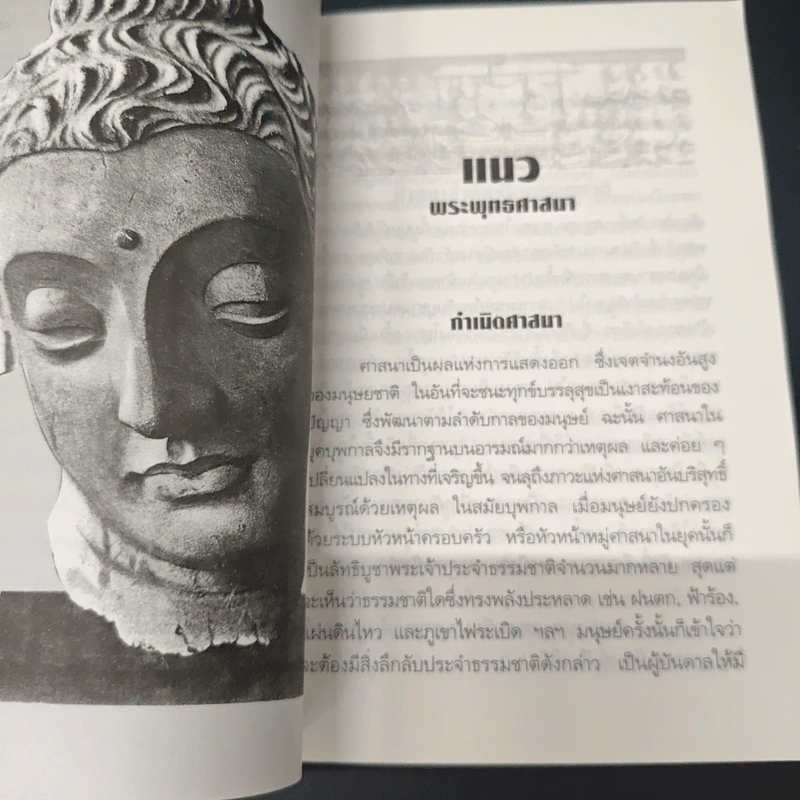 แนวพระพุทธศาสนา รูปที่ 8