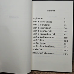 อาร์ทิมิส ฟาวล์ รูปที่ 7