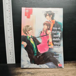 Stop at First Kiss เกมรักดักหัวใจไล่เธอให้จนมุม - เจ้าหญิงผู้เลอโฉม รูปที่ 1