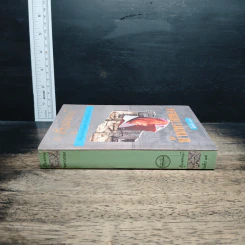 หนังสือ บ้านทรายทอง รูปที่ 3