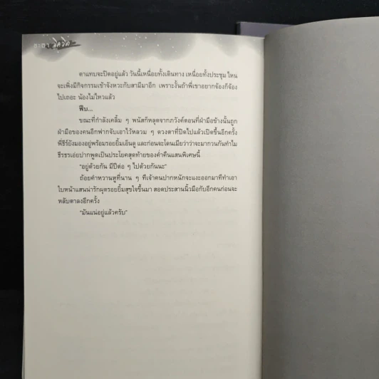 ชะตาลิควิด เล่มหลัก+เล่มพิเศษ - พริ้วพลิ้ว รูปที่ 8