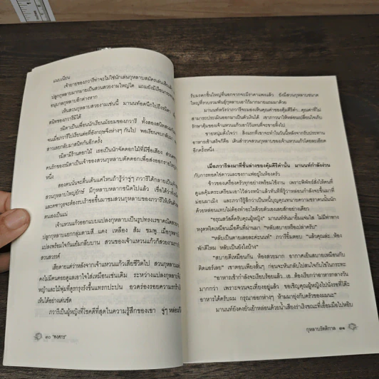 กุหลาบรัตติกาล - พงศกร รูปที่ 8