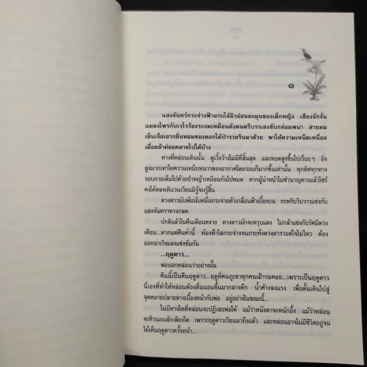 ฤดูดาว - พงศกร รูปที่ 6