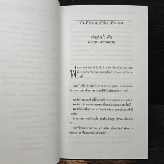 เงินทองไหลมาเทมา (ตามท่อ) - เบิร์ก เฮ็ดเจส รูปที่ 8