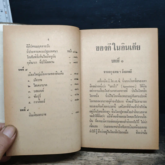 ของดีในอินเดีย - พลตรีหลวงวิจิตรวาทการ รูปที่ 9