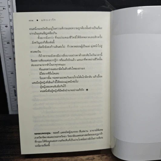 แสงเงารัก - ดวงตะวัน รูปที่ 8
