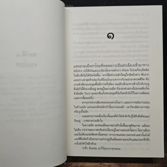แสงเงารัก - ดวงตะวัน รูปที่ 7