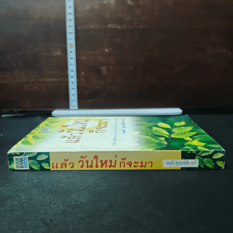 แล้ววันใหม่ก็จะมา - ชยศรี สุนทรพิพิธ ชาลี รูปที่ 3