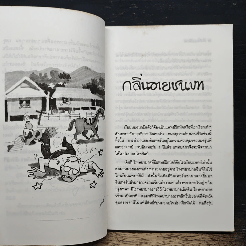 บันทึกแพทย์ฝึกหัด - พญ. ลลิตา ธีระสิริ รูปที่ 7