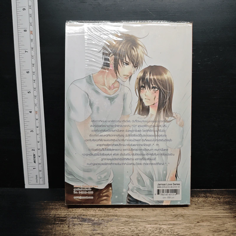 Stop at First Kiss เกมรักดักหัวใจไล่เธอให้จนมุม - เจ้าหญิงผู้เลอโฉม รูปที่ 2