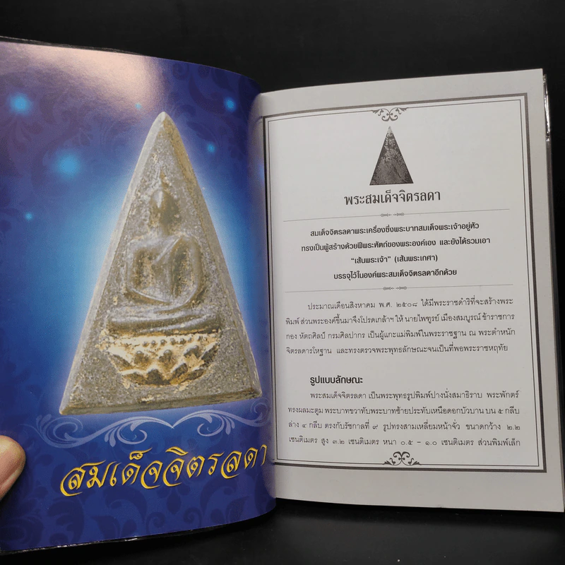 พระบารมี - ราช รามัญ, วัชรพงษ์ ทองเนื้อสุก รูปที่ 7