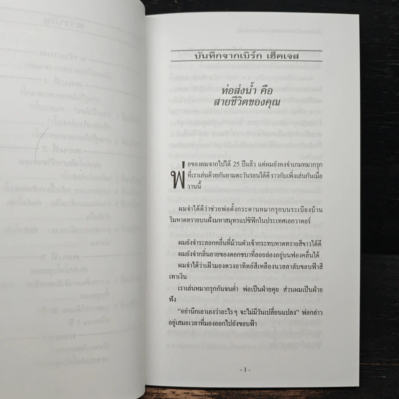 เงินทองไหลมาเทมา (ตามท่อ) - เบิร์ก เฮ็ดเจส รูปที่ 8