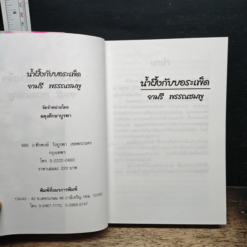 น้ำผึ้งกับบอระเพ็ด รูปที่ 6