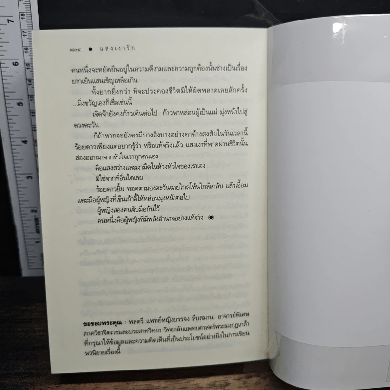 แสงเงารัก - ดวงตะวัน รูปที่ 8