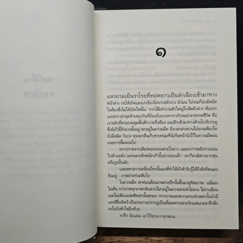 แสงเงารัก - ดวงตะวัน รูปที่ 7
