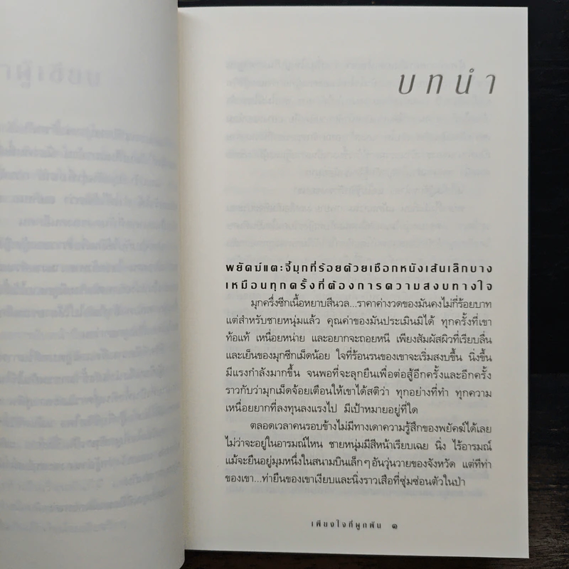 เพียงใจที่ผูกพัน - กิ่งฉัตร รูปที่ 7