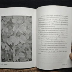 ไม้ใกล้ครัว - จำลอง ฝั่งชลจิตร รูปที่ 9