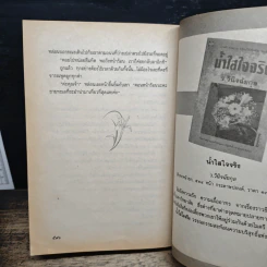 ทะเลแปร รูปที่ 8