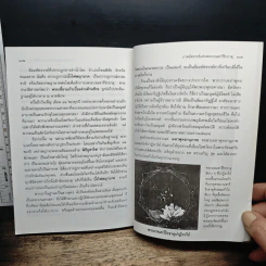 มหัศจรรย์แห่งมหาพุทธานุภาพ ตอน ปราบมารและโปรดธรรม รูปที่ 9