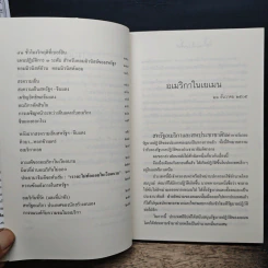 เจ้าโลก รูปที่ 8