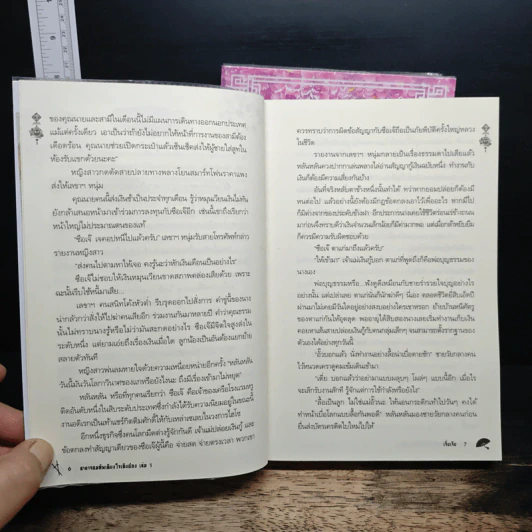 ชายาจอมทัพเคียงใจเฉิงอ๋อง 2 เล่มจบ - เจี่ยเจีย รูปที่ 8