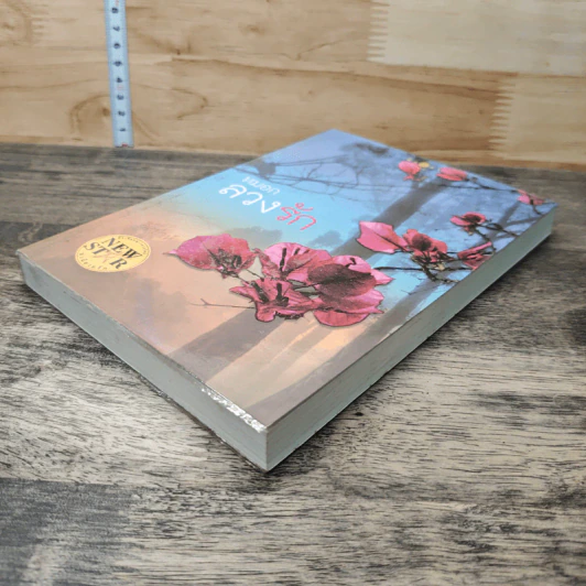 หมอกลวงรัก - อิสย่าห์ รูปที่ 3
