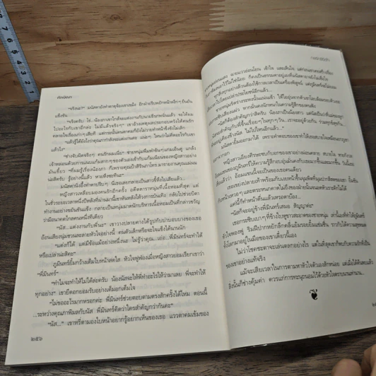 กลรักลิขิตใจ - ทักษิณา รูปที่ 8