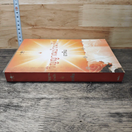 หนังสือ วิญญาณป่วนรัก รูปที่ 2