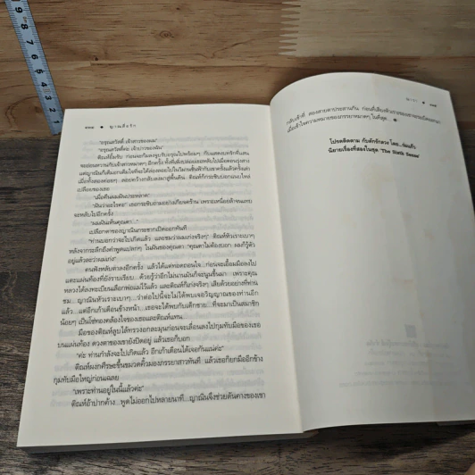 The Sixth Sense : ญาณสื่อรัก - ณารา รูปที่ 8