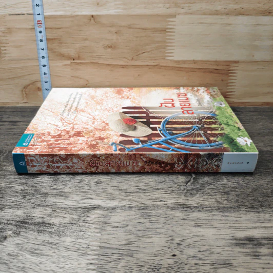 ฝันลายเมฆ - วิรัตต์ยา รูปที่ 2