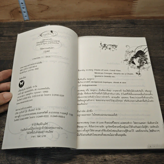 โซ่ตรวนเสน่หา - ปรุฬห์ รูปที่ 6