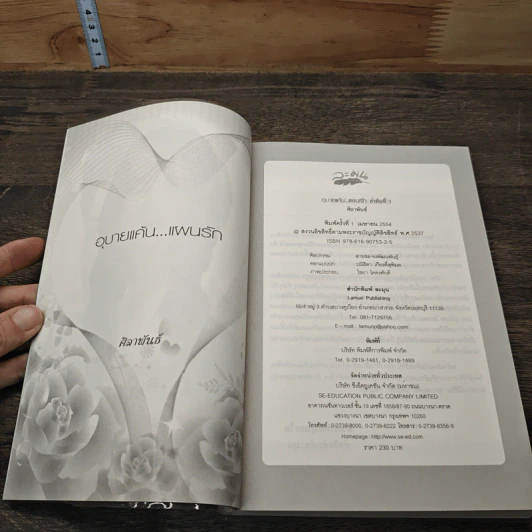 หนังสือ อุบายแค้นแผนรัก รูปที่ 6