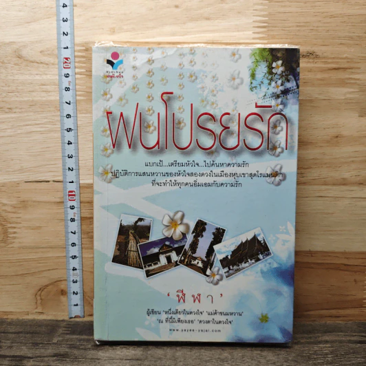 ฝนโปรยรัด - ฬีฬา รูปที่ 1