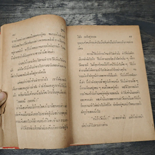 ลูกป่า - วิชัย อภัยสุวรรณ รูปที่ 6