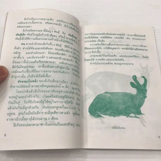 สัตว์ป่าในเมืองไทย - อัมพา ศรีสุพัทพงษ์ รูปที่ 10